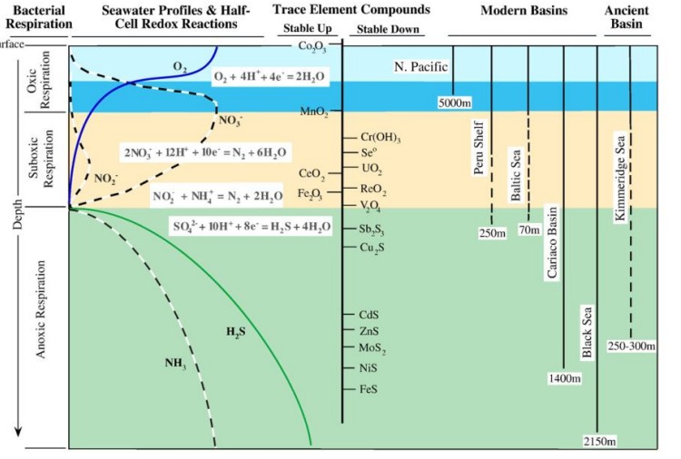Dissolved oxygen and nitrous oxide dynamics in an Australasian fjord- like estuary and its augmentation by marine aquaculture
