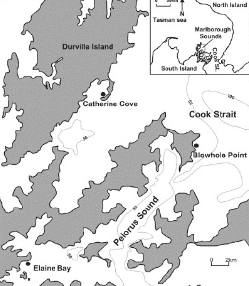 Effect of biodeposits from mussel culture on macroinvertebrate assemblages at sites of different hydrodynamic regime